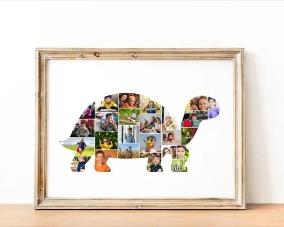 Tortoise Photo Collage Template: Nursery Wall Art (Digital Download)