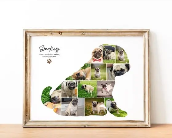 Pug Photo Collage Template: Custom Dog Memorial Gift (Canva)