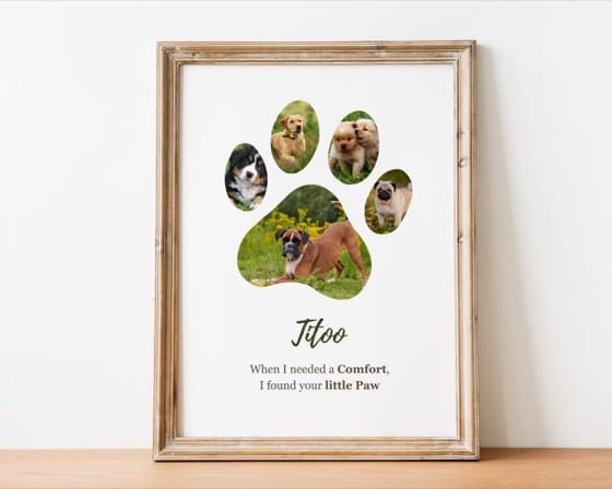 Personalized Pet Paw Print Photo Collage Template: Dog Memorial (Digital Download)
