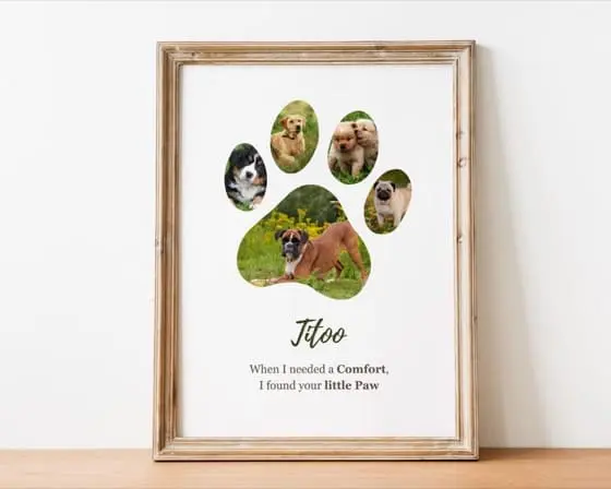 Personalized Pet Paw Print Photo Collage Template: Dog Memorial (Digital Download)