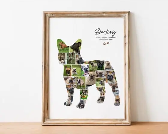 French Bulldog Photo Collage: Custom Pet Memorial Gift (Digital Download Canva Template