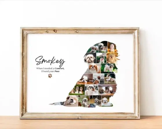 Shih Tzu Photo Collage | Custom Pet Portrait (Digital File)