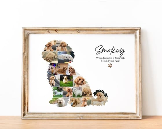 Custom Maltipoo Dog Photo Collage | Pet Memory Wall Art | Gift for Dog Lovers