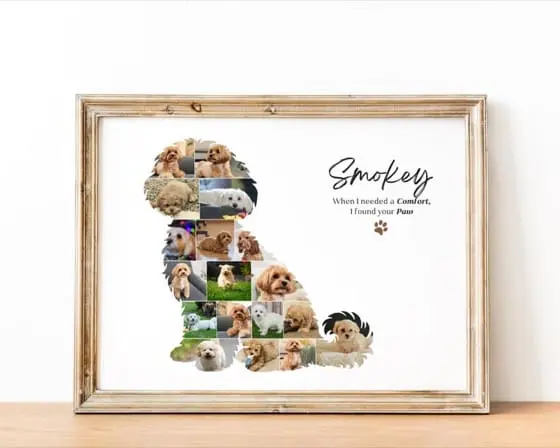 Custom Maltipoo Dog Photo Collage | Pet Memory Wall Art | Gift for Dog Lovers