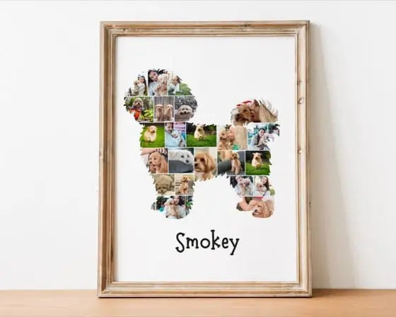 Custom Maltipoo Dog Photo Collage | Pet Memory Wall Art | Gift for Dog Lovers