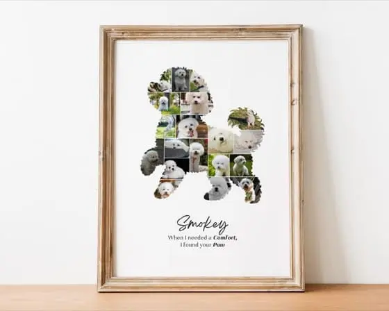 Personalized Bichon Frisé dog Photo Collage - Dog Pet Memorial Gift - Custom Made with Your Digital Pictures