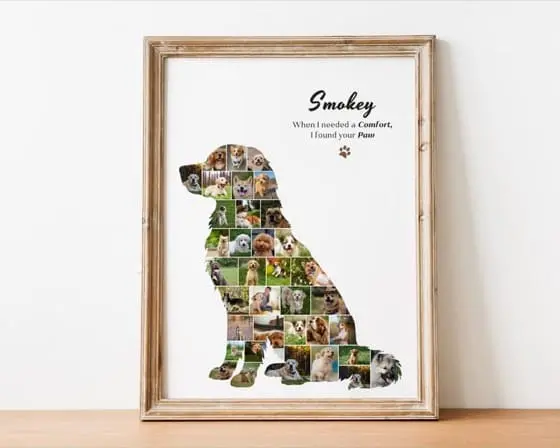 Personalized Golden Retriever Photo Collage Template Custom Dog Memorial Gift Pet Wall Art Printable Digital Download